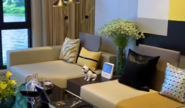 装修短视频,装修过程全记录，一站式了解装修细节